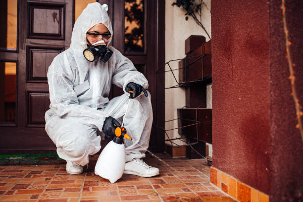 Reliable Bed Bug Control contractor in Jefferson City, TN by Nex Pest Control